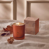 CALABAZA LAUREL 6.5 OZ VELA EN CAJA
